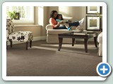 Stainmaster Carpet