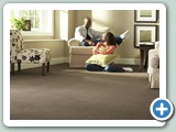 Stainmaster Carpet