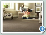 Stainmaster Carpet